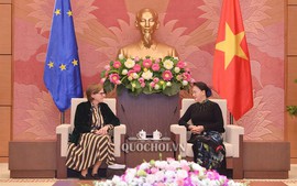 Việt Nam sẵn sàng làm cầu nối EP với nghị viện các nước ASEAN