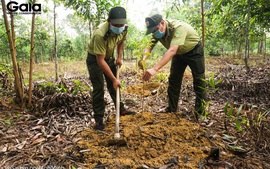 Dự án hợp tác Đức - Việt tăng cường bảo tồn đa dạng sinh học