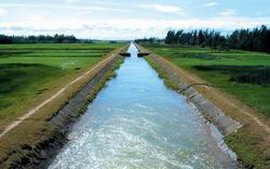 Hỗ trợ phát triển nông nghiệp có tưới
