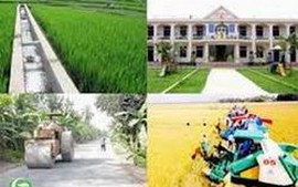 Đến 2015, Hà Nội có 40% số xã đạt tiêu chí nông thôn mới