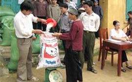 Nghệ An phân bổ 1.600 tấn gạo hỗ trợ vùng lũ lụt