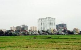 5 tỉnh được chuyển mục đích sử dụng đất