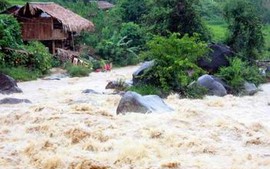 Thủ tướng Chính phủ chỉ đạo khắc phục hậu quả mưa lũ do ảnh hưởng bão số 4