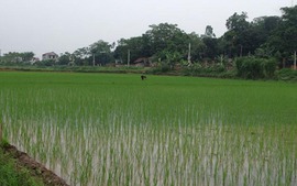 Chuyển mục đích sử dụng đất tại tỉnh Phú Thọ 
