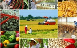 Thúc đẩy doanh nghiệp đầu tư vào lĩnh vực nông nghiệp