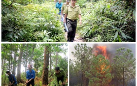Các địa phương tăng cường phòng cháy, chữa cháy rừng