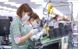 Địa phương xây dựng tiêu chí lao động tự do được hỗ trợ