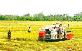 Thúc đẩy sản xuất, tiêu thụ lúa gạo, thủy sản vùng ĐBSCL