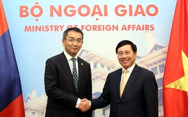 Phó Thủ tướng Phạm Bình Minh hội đàm với Bộ trưởng Ngoại giao Mông Cổ