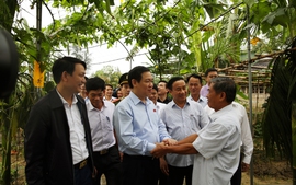 Phó Thủ tướng Vương Đình Huệ thăm nông thôn mới kiểu mẫu Hà Tĩnh
