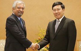 Phó Thủ tướng Phạm Bình Minh tiếp Trưởng đại diện UNDP tại Việt Nam