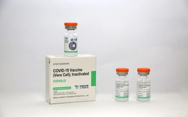 Chính phủ đồng ý mua 20 triệu liều vaccine phòng COVID-19 Vero Cell