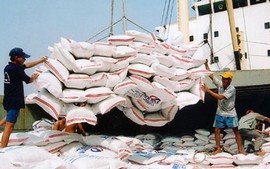 Ghi nhận kiến nghị về đổi mới quản lý xuất khẩu lúa gạo