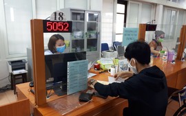 Tây Ninh: Thời gian giải quyết hồ sơ hỗ trợ không quá 13 ngày làm việc