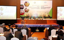 An toàn thực phẩm và Liên kết tiêu thụ nông sản