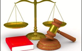 “Oan án mười năm”, vụ kiện Bộ trưởng và Ngày Pháp luật