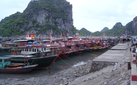 Quảng Ninh, Hải Phòng, Thái Bình ứng phó bão số 1