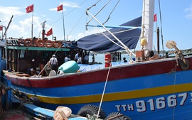 Thừa Thiên-Huế: "Con tàu 67" đầu tiên vươn khơi, bám biển