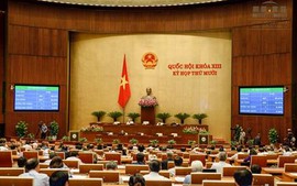 Quốc hội thông qua Luật Thống kê và Luật Khí tượng thủy văn