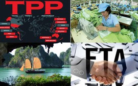 Thông điệp về TPP từ bài viết của Thủ tướng Chính phủ