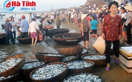 Hà Tĩnh: Tiếp tục hỗ trợ ngư dân và xử lý sự cố môi trường