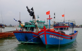 Ngư dân xây dựng tổ đội vươn khơi, bám biển