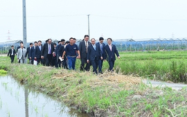 Thủ tướng thăm nông trại Yokoyama (Nhật Bản)