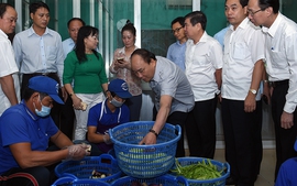 Thủ tướng kiểm tra suất ăn công nghiệp, quán phở "bình dân" ở TPHCM