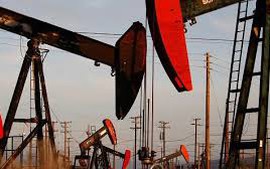 WB dự báo giá dầu