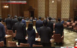 Hạ viện Nhật Bản thông qua dự luật cho phép Nhật hoàng thoái vị