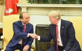 Triển khai kết quả chuyến thăm Hoa Kỳ của Thủ tướng Nguyễn Xuân Phúc