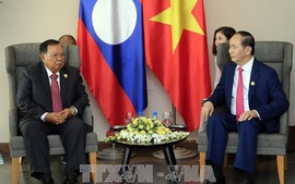 Chủ tịch nước Trần Đại Quang gặp Tổng Bí thư, Chủ tịch nước Lào