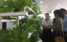 Đà Nẵng ưu đãi đầu tư nông nghiệp công nghệ cao