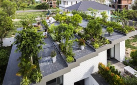 Kiến trúc sư Việt Nam giành 5 giải kiến trúc xanh ở Mỹ