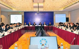 Đợt hội nghị lớn thứ hai của Năm APEC 2017 khai mạc
