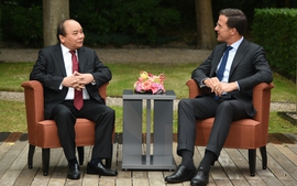   Thủ tướng Nguyễn Xuân Phúc hội đàm với Thủ tướng Hà Lan