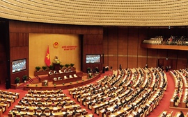 Thủ tướng giới thiệu Bí thư Tỉnh uỷ Bạc Liêu, Sóc Trăng làm Tổng Thanh tra và Bộ trưởng GTVT
