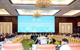 Hội nghị liên Bộ trưởng Ngoại giao-Kinh tế APEC lần thứ 29 khai mạc