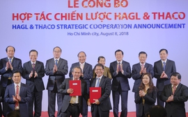Thủ tướng hoan nghênh 'nhân duyên môn đăng hộ đối' Thaco-Hoàng Anh Gia Lai