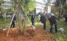 TỔNG THUẬT: Lâm Đồng phát động trồng mới 50 triệu cây xanh