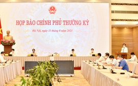 Chính phủ họp báo thường kỳ tháng 7