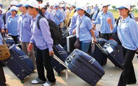 Báo cáo Thủ tướng về phí môi giới xuất khẩu lao động Đài Loan