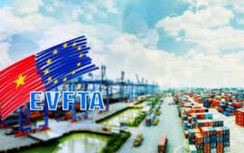 Bộ Công Thương tập huấn trực tuyến về EVFTA cho cộng đồng doanh nghiệp