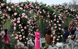 Hà Nội yêu cầu chấn chỉnh Lễ hội hoa hồng Bulgaria
