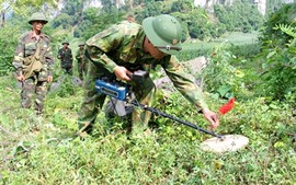 Xúc tiến Dự án rà phá bom mìn tại Cao Bằng, Lạng Sơn