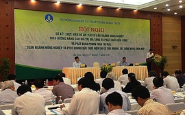 Các giải pháp đẩy mạnh tái cơ cấu nông nghiệp