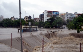 Thủ tướng Nguyễn Tấn Dũng chỉ đạo ứng phó mưa lũ