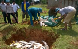 Vụ cá chết trên sông Bưởi: Công an vào cuộc