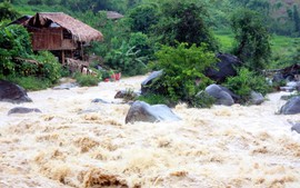 15 người chết và mất tích vì mưa lũ