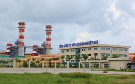 Yêu cầu kỷ luật Phó Tổng Giám đốc Điện lực Dầu khí